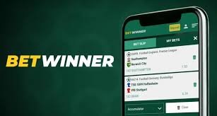 Comprehensive Guide to the BetWinner Sign In Process