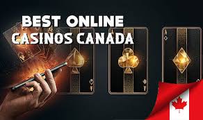 Discover the Best Online Casino in Canada Your Ultimate Guide